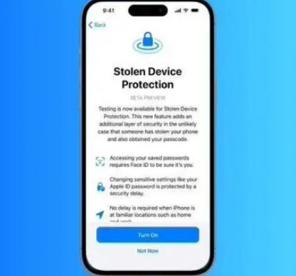 焉耆苹果授权维修店分享被盗设备保护功能开启方法 