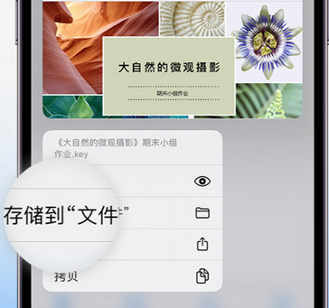 焉耆apple维修中心分享iPhone文件应用中存储和找到下载文件