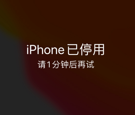 焉耆苹果手机维修分享:iPhone 显示“不可用”或“已停用”怎么办？还能保留数据吗？ 