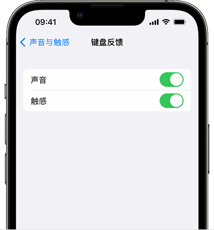 焉耆苹果14维修店分享如何在 iPhone 14 机型中使用触感键盘 