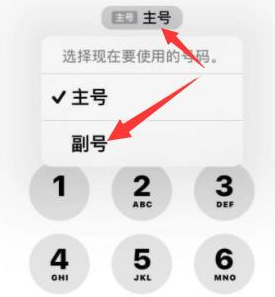 焉耆苹果14维修店分享iPhone 14 Pro Max使用副卡打电话的方法 