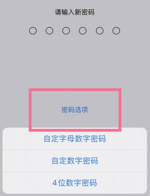 焉耆苹果14维修分享iPhone 14plus设置密码的方法 