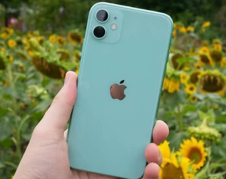 焉耆苹果维修点分享iPhone 11锁屏密码认知与使用科普 